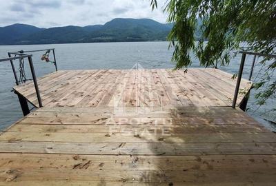 Casa individualapretabil pensiune pe Clisura Dunarii - 10