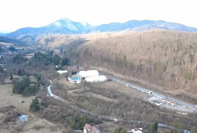 Teren cu potential dezvoltare rezidential si turism - 3