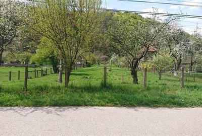 Casa si 3919 mp teren intravilan  in  Bucuresci, jud. Hunedoara - 5