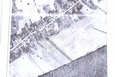 Com GRUIU_Reprezentare exclusiva_TEREN EXTRAVILAN LANGA PAD - 3