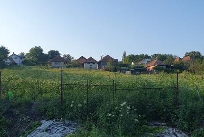 Teren Construcții intravilan de 3300 mp, în Firminiș - 1