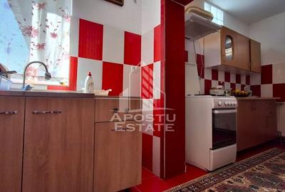 Casa de vanzare in Ineu formata din 2 cladiri - 26