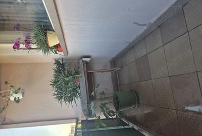 Vanzare apartament cu 3 camere - 7