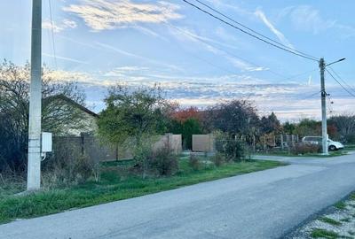 1007mp teren Peris, deschidere 14ml - 1