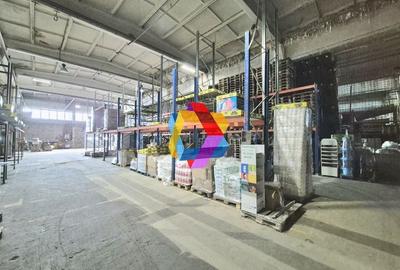 Hala de inchiriat Brașov - 455 mp plus-imo.ro - 4