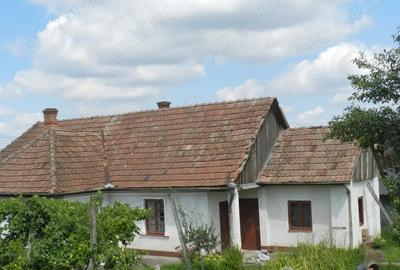 Casa de vanzare-Gheja-Ludus - 4