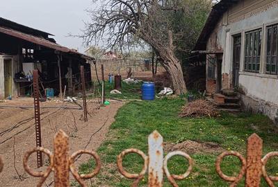 Casă cu 3 camere în Coșoveni - 4