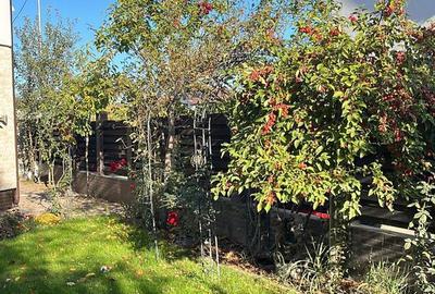 Casă cu 4 camere cu Teren 300 Mp în Chiajna - 2