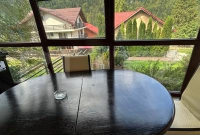 Vila zona superba Predeal - 16