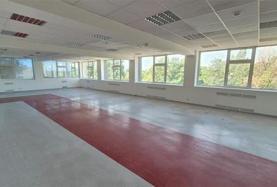 Birou, de 90 mp, în Crângași - 9