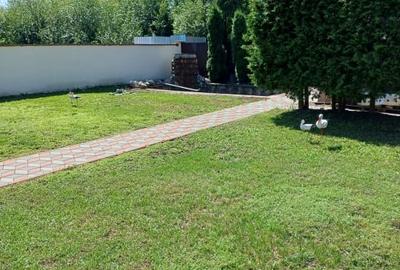 Casa 750 mp, curte individuala, garaj, foisor, Prejmer - 3