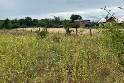 Vânzare teren 17000 mp, localitatea Pojogeni, jud. Gorj - 3
