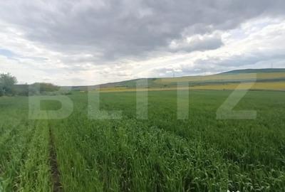 Teren de 52600 mp, în Unirea