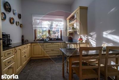 Spațiu comercial, de 1,100 mp, în Băișoara - 7