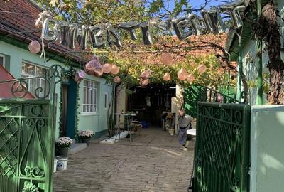 Casă cu 4 camere în Petrovaselo - 1