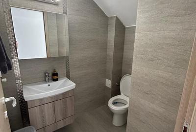 Casa  mobilata, utilata, parcare, Diamantului, Kaufland -TVA INCLUS - 12