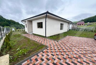 Oportunitate! Casa noua , in curs de finisare, 5 ari teren - Zona Valea Jelnei - 10