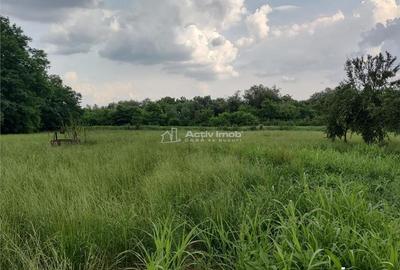 Gataia Teren Drept 1414 Mp Lot de Casa, 7 Euro Mp - 2