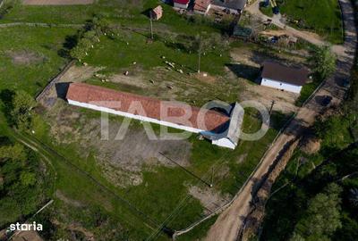 Casă cu 3 camere cu Teren 123 Mp în Pianu - 8