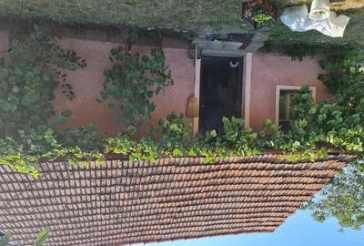 Casă cu 2 camere cu Teren 334 Mp în Vinerea - 4