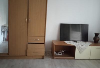 Colentina, Teiul Doamnei, parc, semistradal