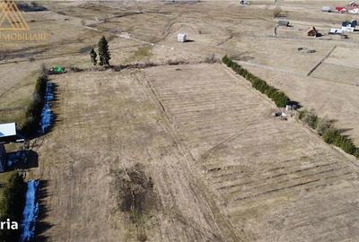 Teren de 20000 mp, în Central - 11