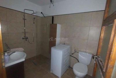 Casă cu Teren 1200 Mp în Constantin Daicoviciu - 12