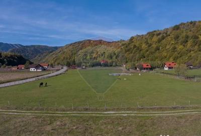 Teren de 3997 mp, în Plaiul Foii - 2