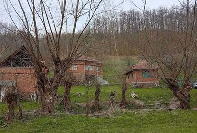 Casă cu 4 camere în Densuș - 2