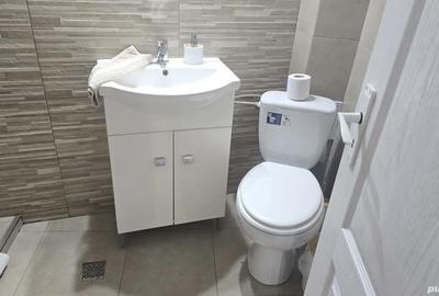 Apartament cu 2 camere decomandat în Viile Noi - 4