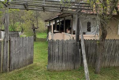 Casă cu 2 camere în Valea - 1