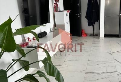 Braytim. Mobilat si utilat. Strada asfaltata - 15