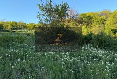 Teren de 2700 mp, în Oncea - 11