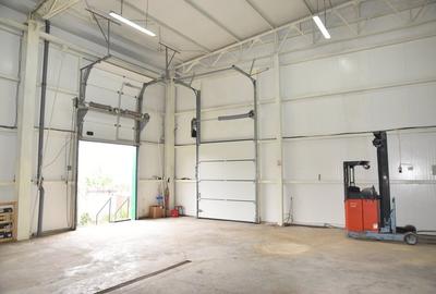 Spațiu Depozitare Industrial -  Depozitare/Refrigerare, Constructie metalica - 4