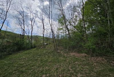 Teren intravilan 1454 mp la marginea padurii zona locuita de case! - 13