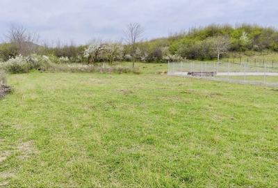 Teren de 1000 mp, în Mierea - 1