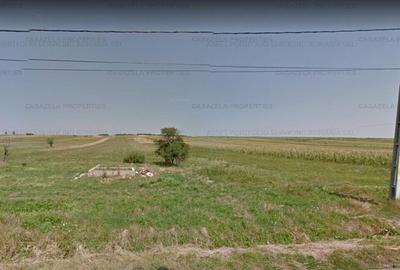 Teren agricol intravilan de 3600 mp, în Răucești - 2