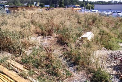 Teren 600 mp pentru construcție rezidențială – Drumul Lăpuș, Băneasa, lângă DN1 - 6