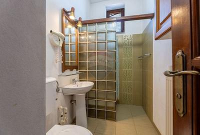 Apartament 1 camere Ultracentral in Palatul Hermann Gyula - 5