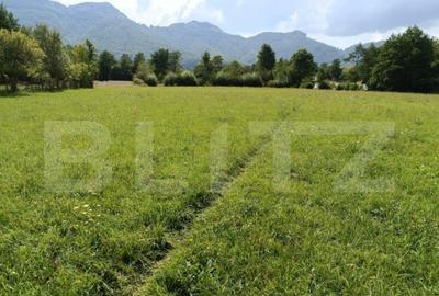 Teren pretabil investitie, constructie turism, 4400mp, zona Teren pretabil investitie, constructie turism, 4400mp, zona - 2