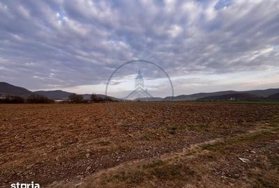 Teren de 2500 mp, în Șieu