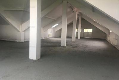 SPATIU  PRODUCTIE USOARA/CAL. GRIVITEI - 2