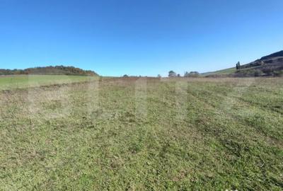 Teren de 2900 mp, în Central - 3