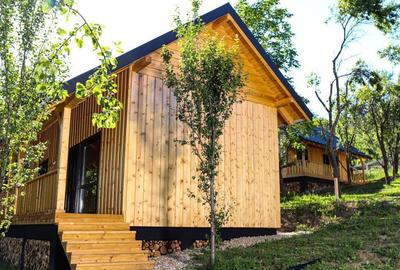 Cabana de vis in Nucsoara - Arges - 69.000 Euro! - 1