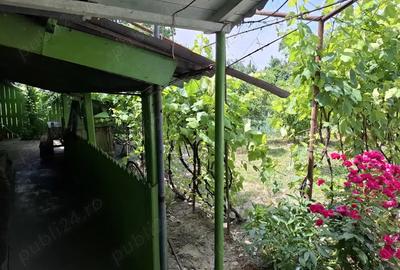 Vand proprietate in comuna Nanesti Vrancea - 4