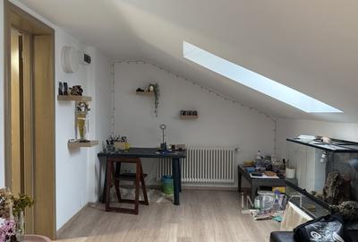 Casa deosebita 6 camere Faget cu teren generos de 1100 m2 - 26