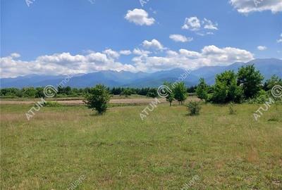 Teren intravilan 5000 mp pe Valea Avrigului, Sibiu - 2