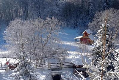 Brasov Predeal teren intravilan 5000mp - 6