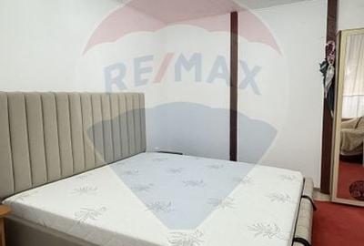 Casa / Vila cu 3 camere de inchiriat in zona Giurgiului - 6