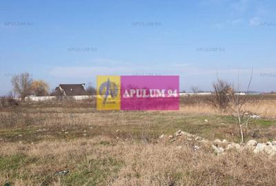 Teren construcție casă - 1 Decembrie - Zona Metropolitană București Teren construcție casă - 1 Decembrie - Zona Metropolitană București - 41